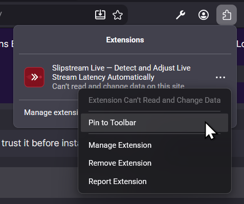 Pinning the extension to the toolbar in Firefox